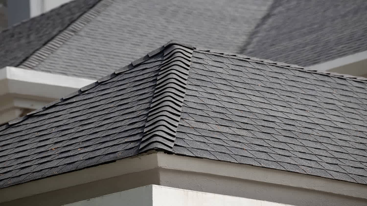 Detail of algae-resistant roof shingles