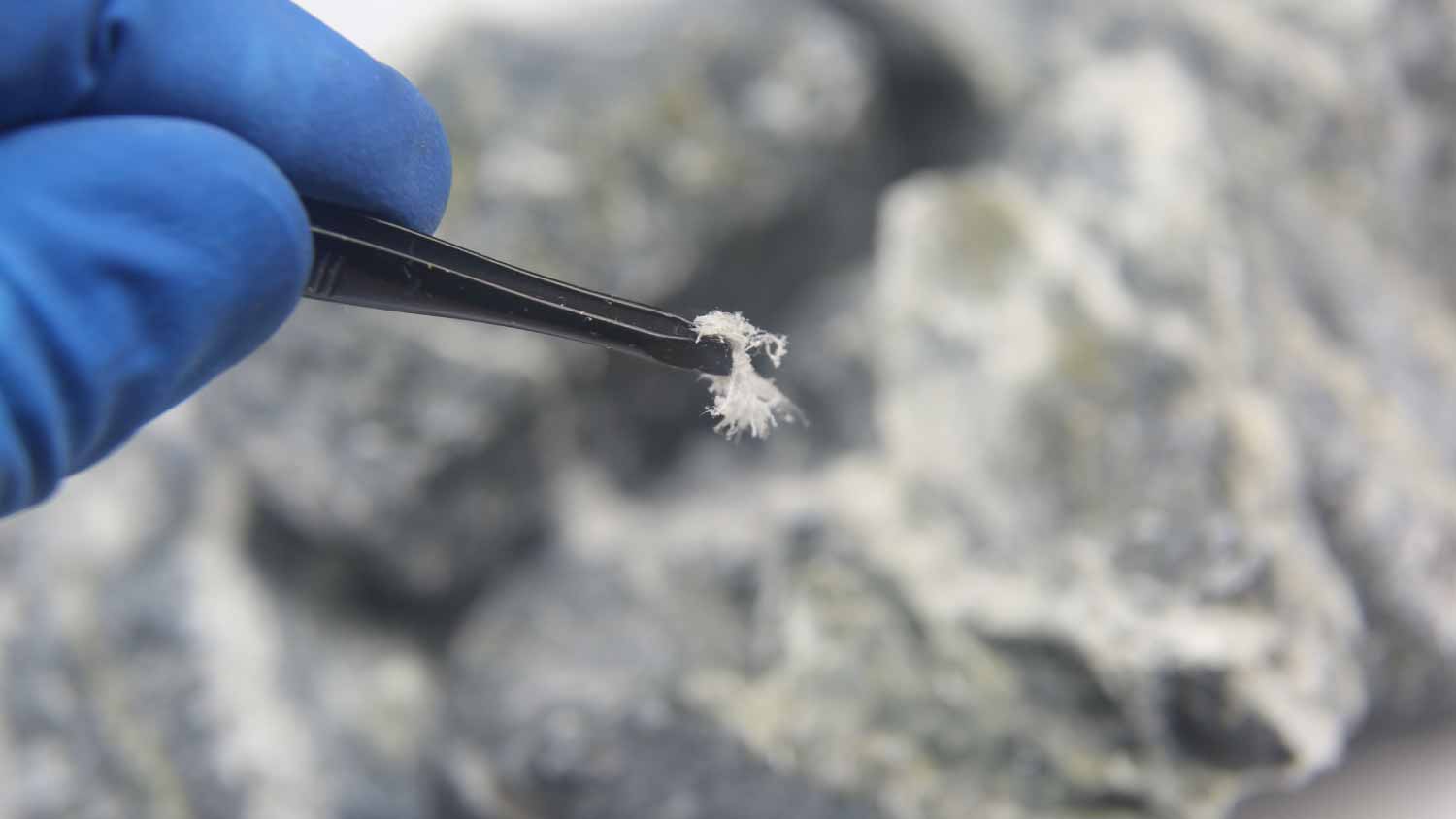 fibers of asbestos