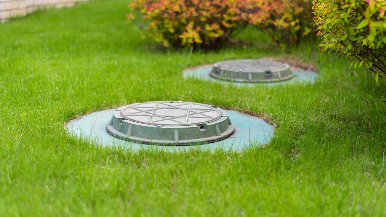 cesspool on the backyard