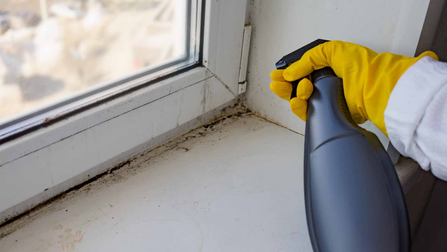 A woman cleaning  window mold