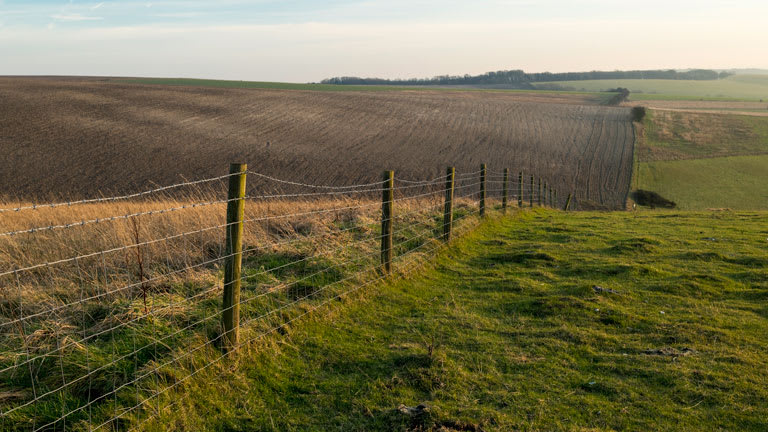 hills with fence