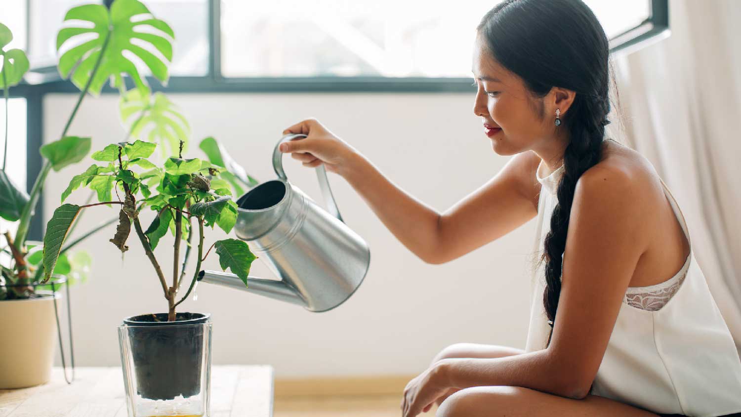 A woman watering her indoor plants