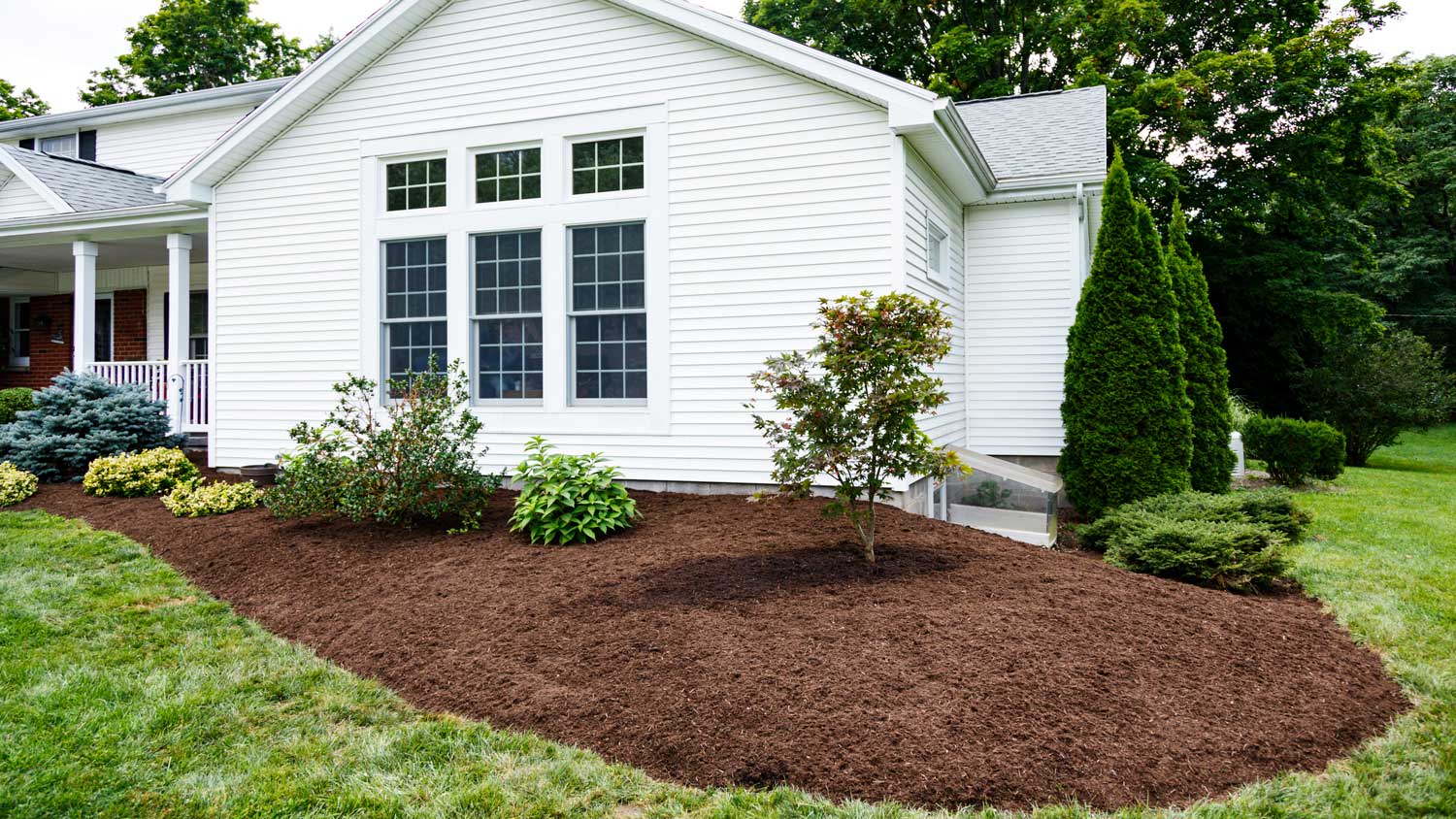 Freshly mulched and landscaped yard
