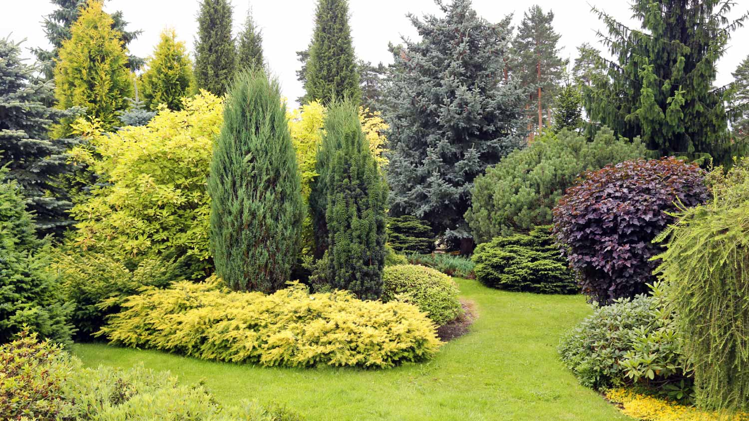 Garden landscape with variety of trees