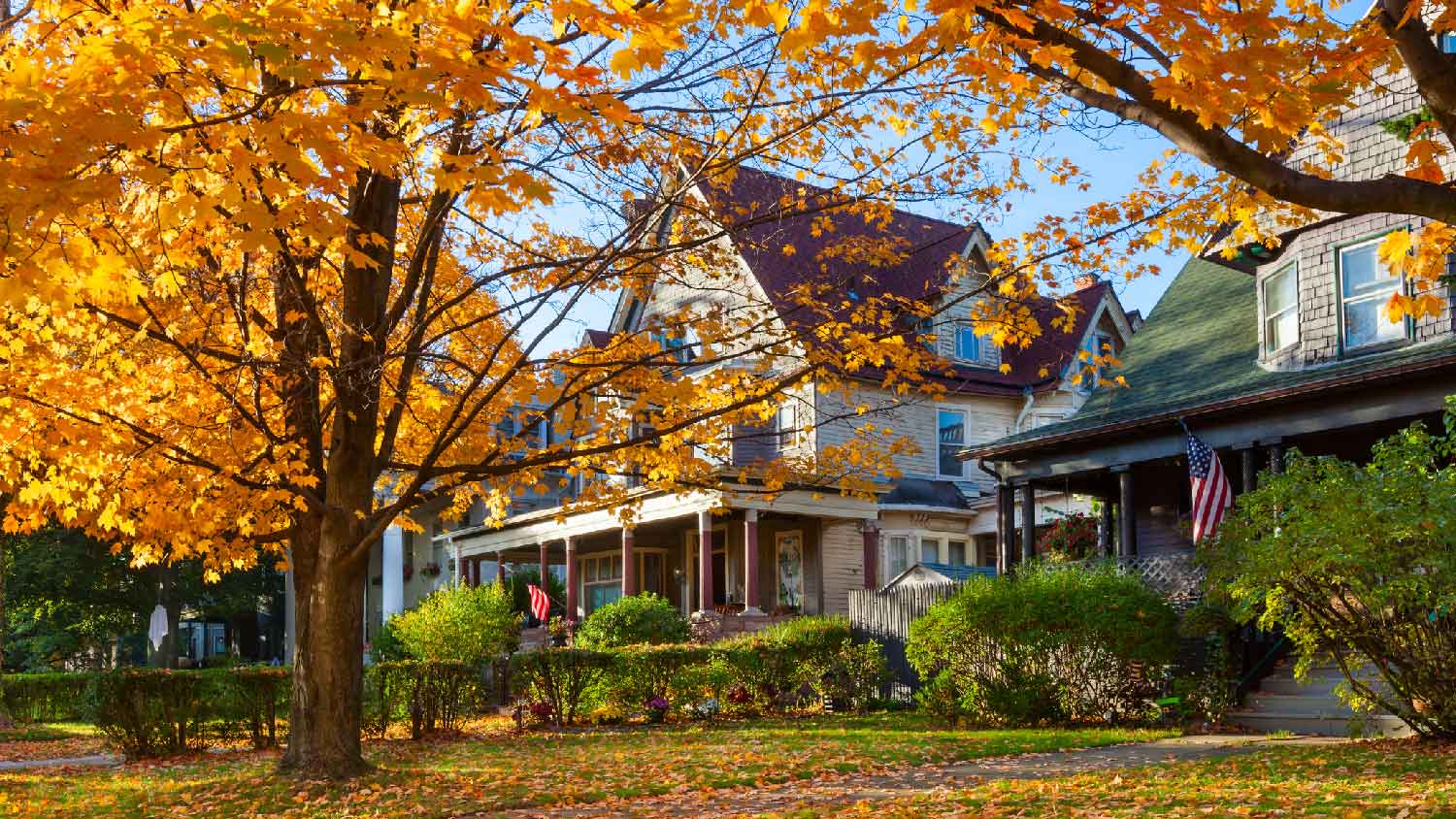 A house with a large tree in its front yard at fall