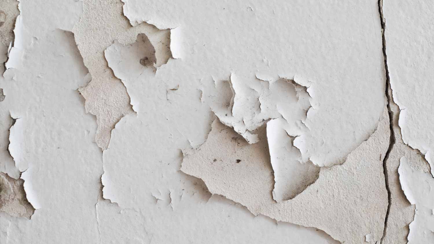 Paint peeling off wall