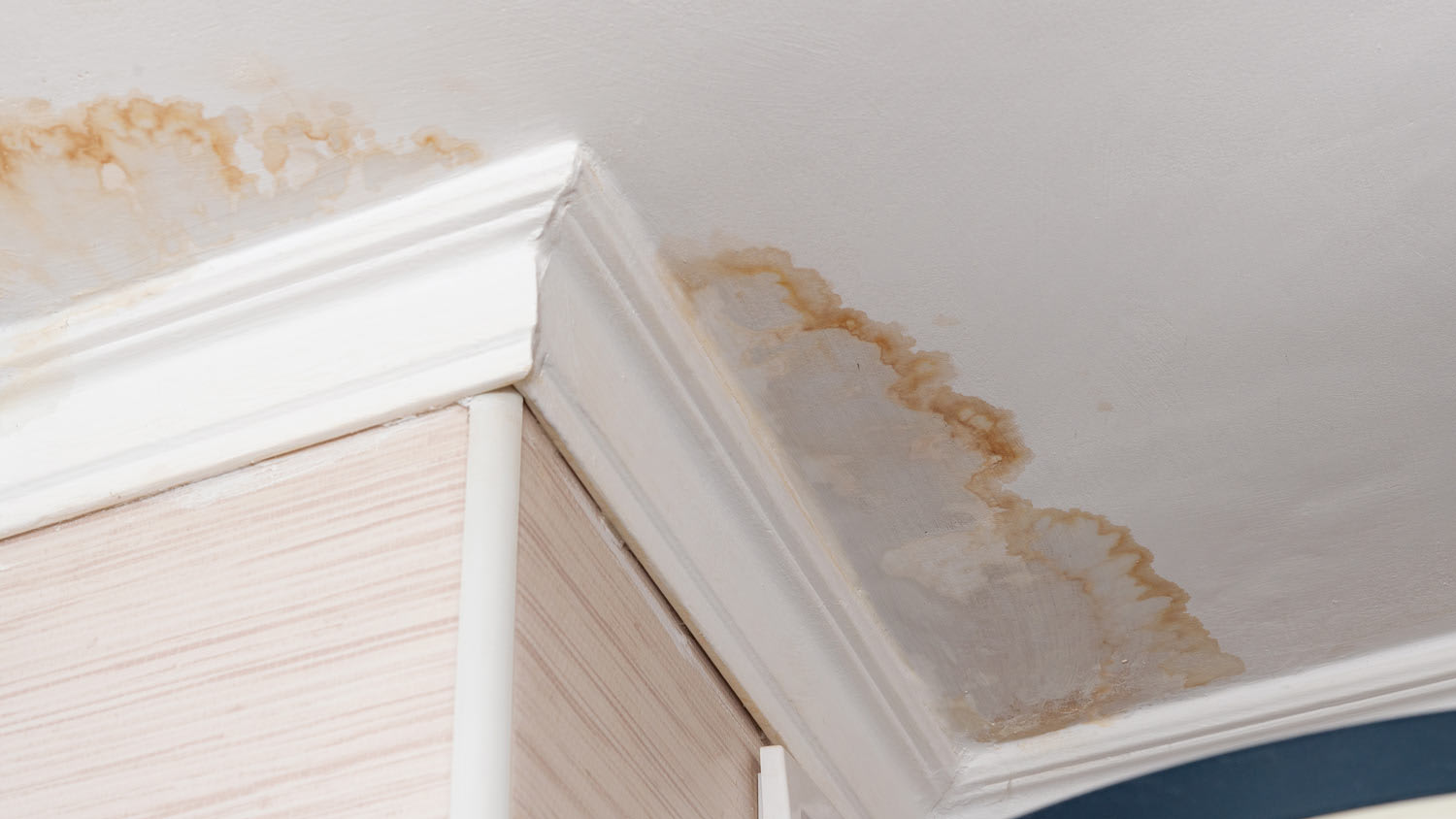 close up water leak on ceiling