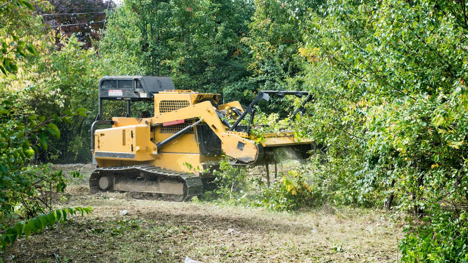 Forestry mulcher grinding up underbrush