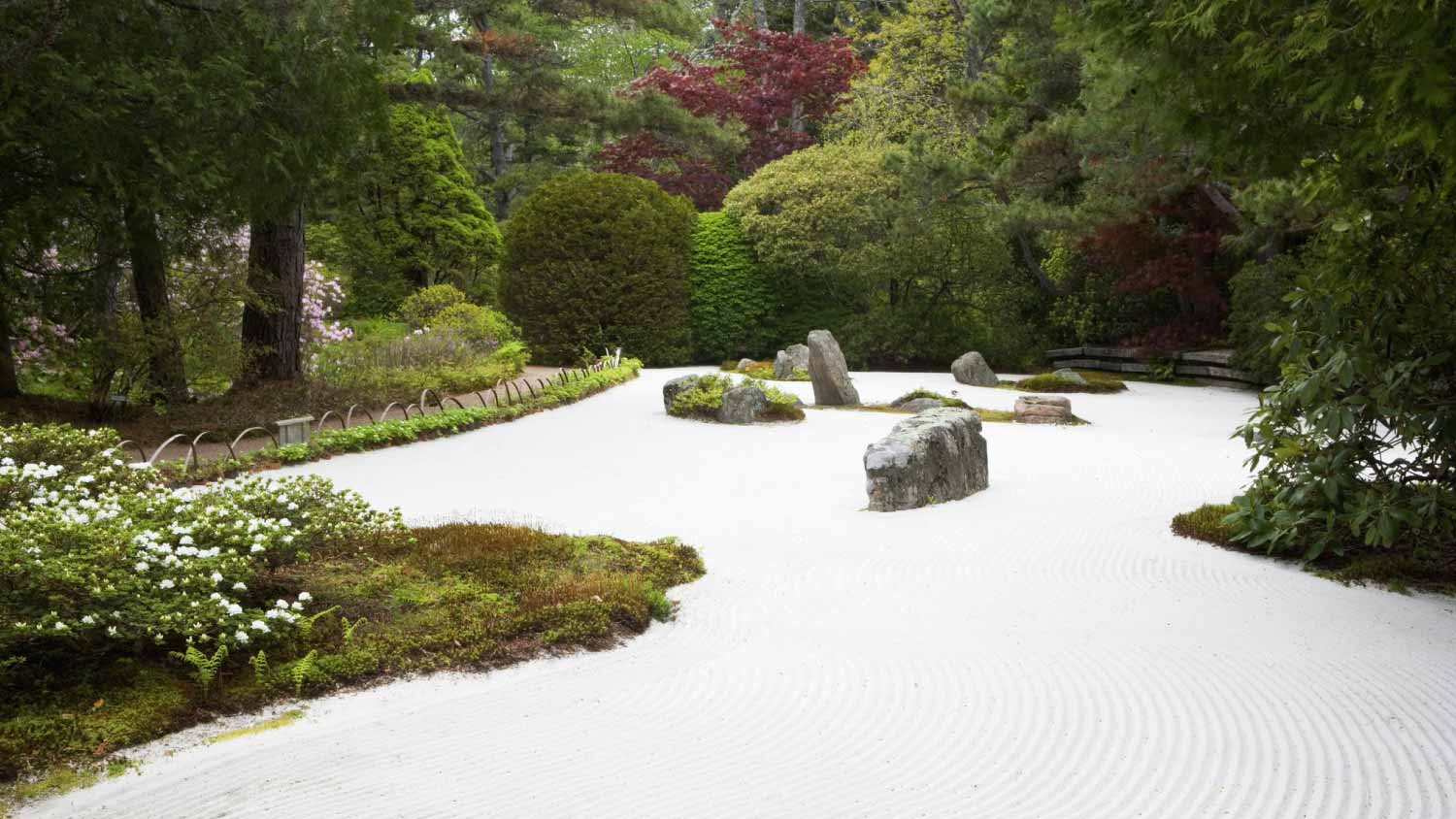 Large zen garden