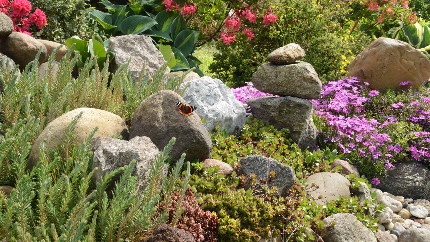 Small rock garden
