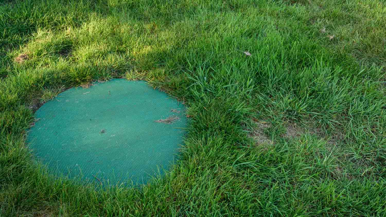 septic tank lid in yard