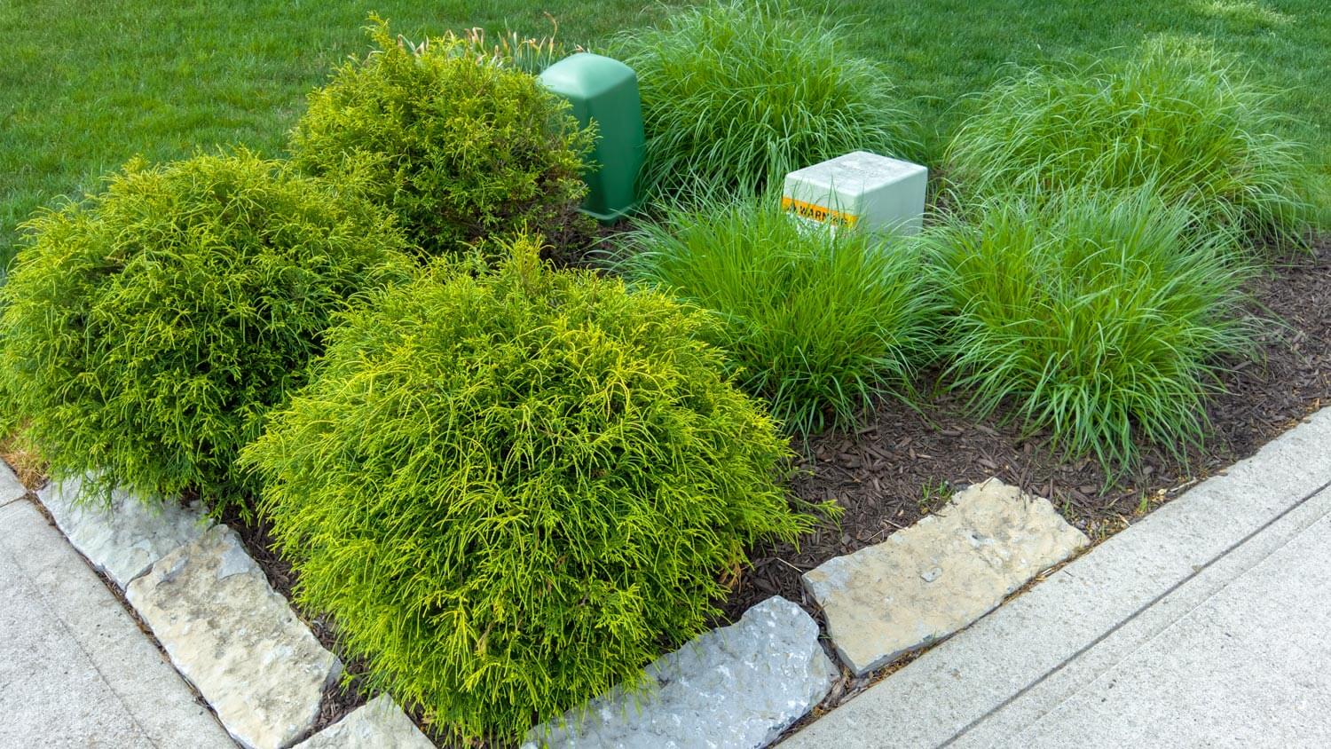 Utility boxes hidden in a landscaped garden