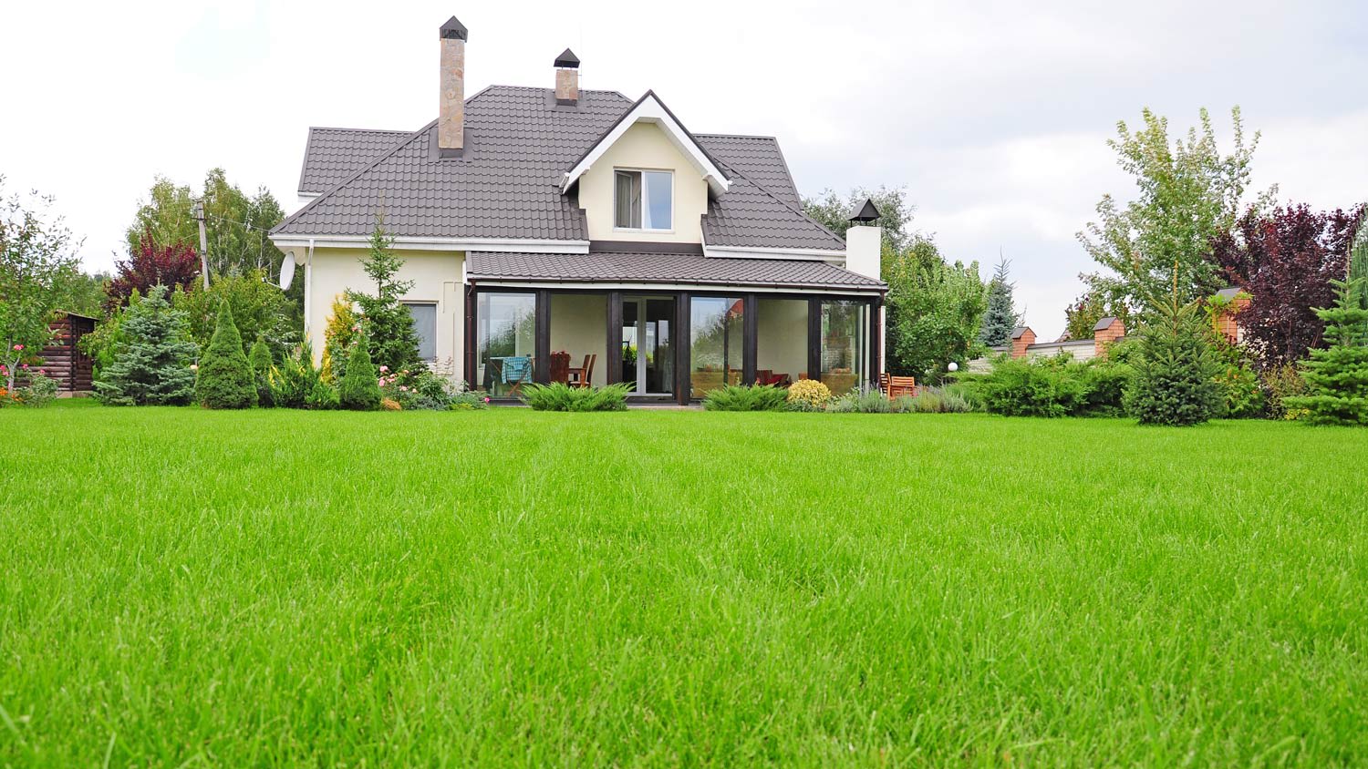 house with detailed grass and lawn