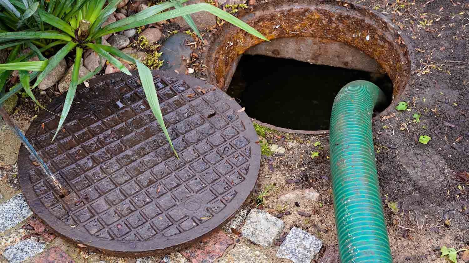 open septic tank in yard