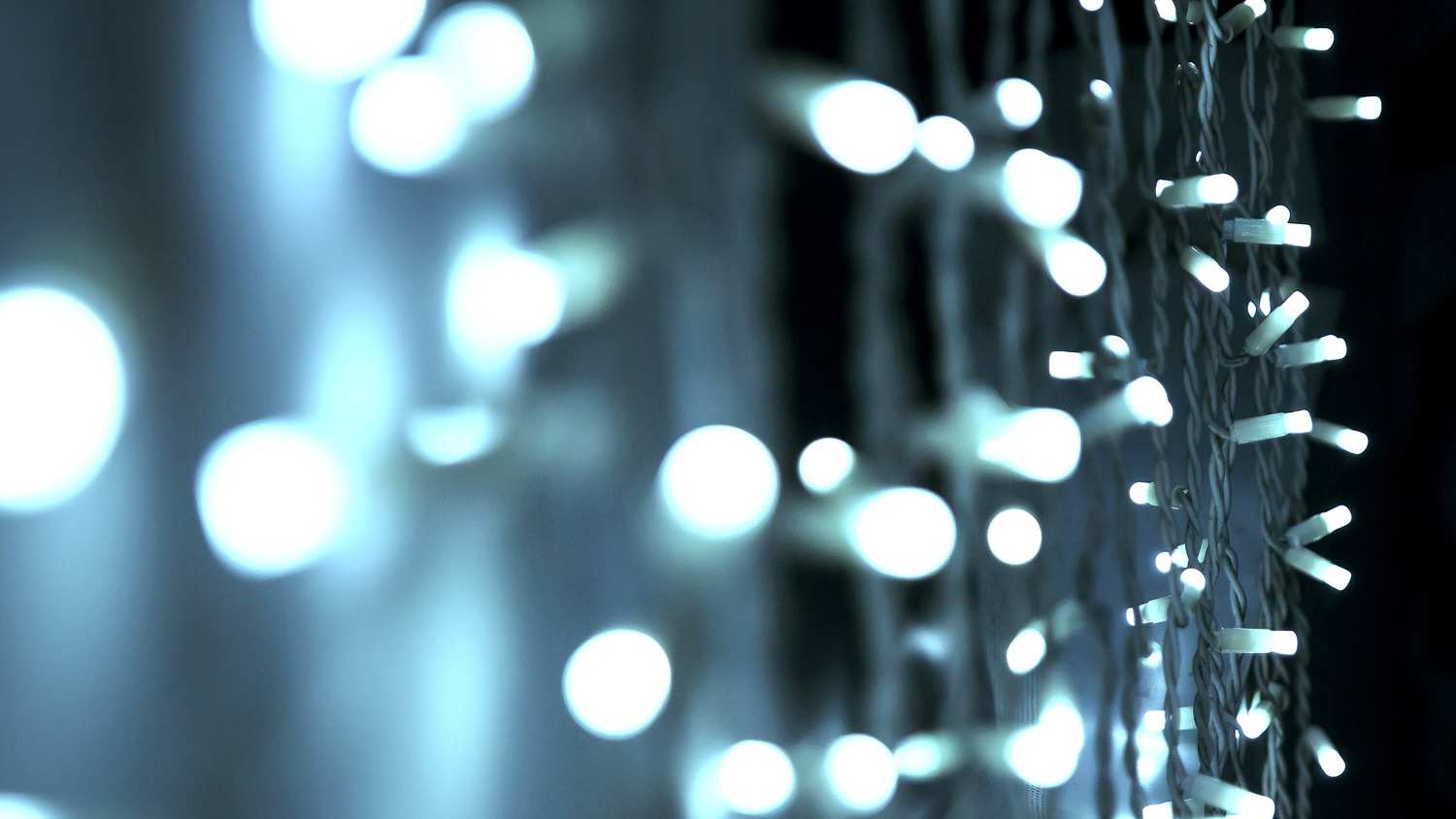 Abstract bokeh background of Christmas lights