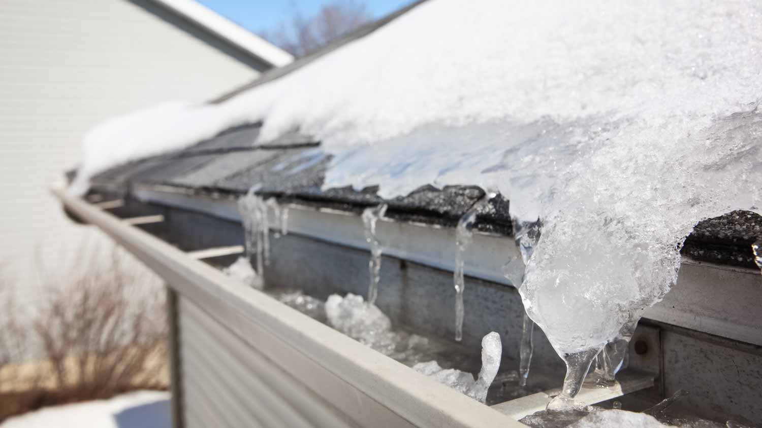 Ice on roof and gutters