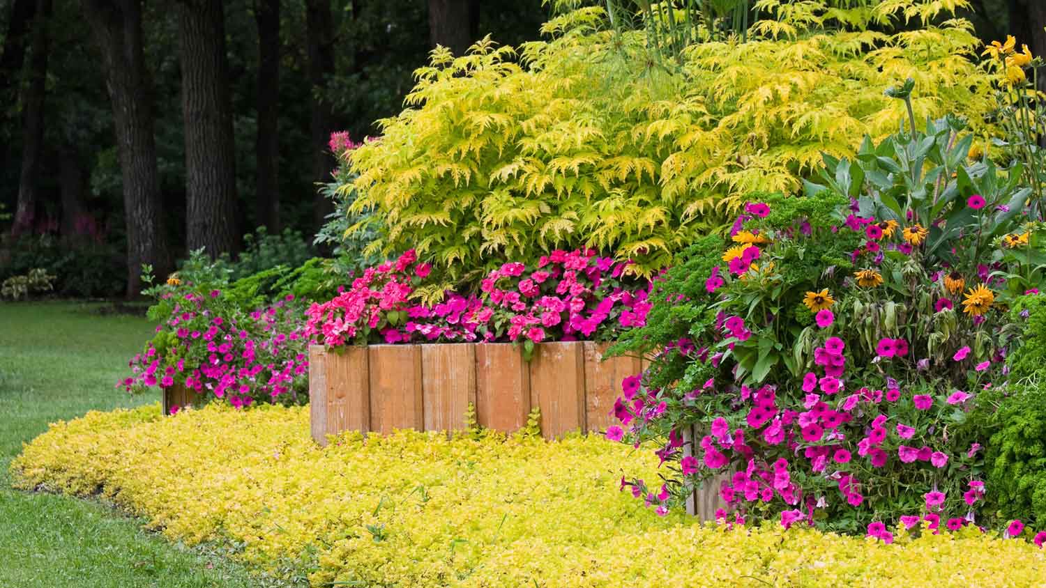 A plant bed with landscape timbers