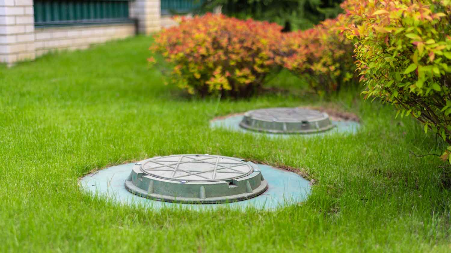 septic tanks in backyard