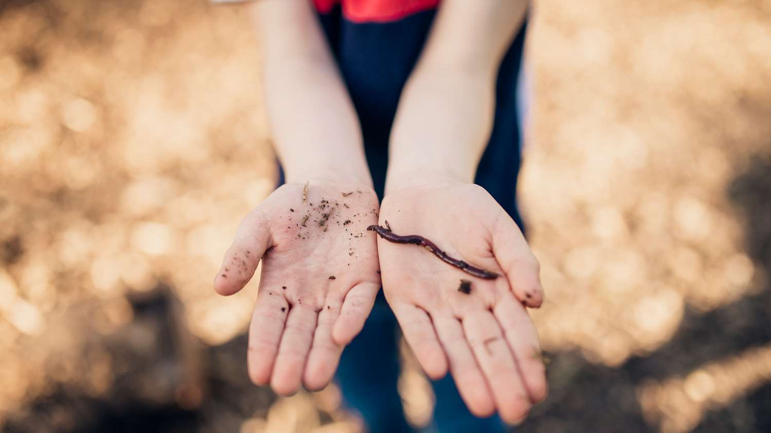 Boy Holds the Worm He's Found