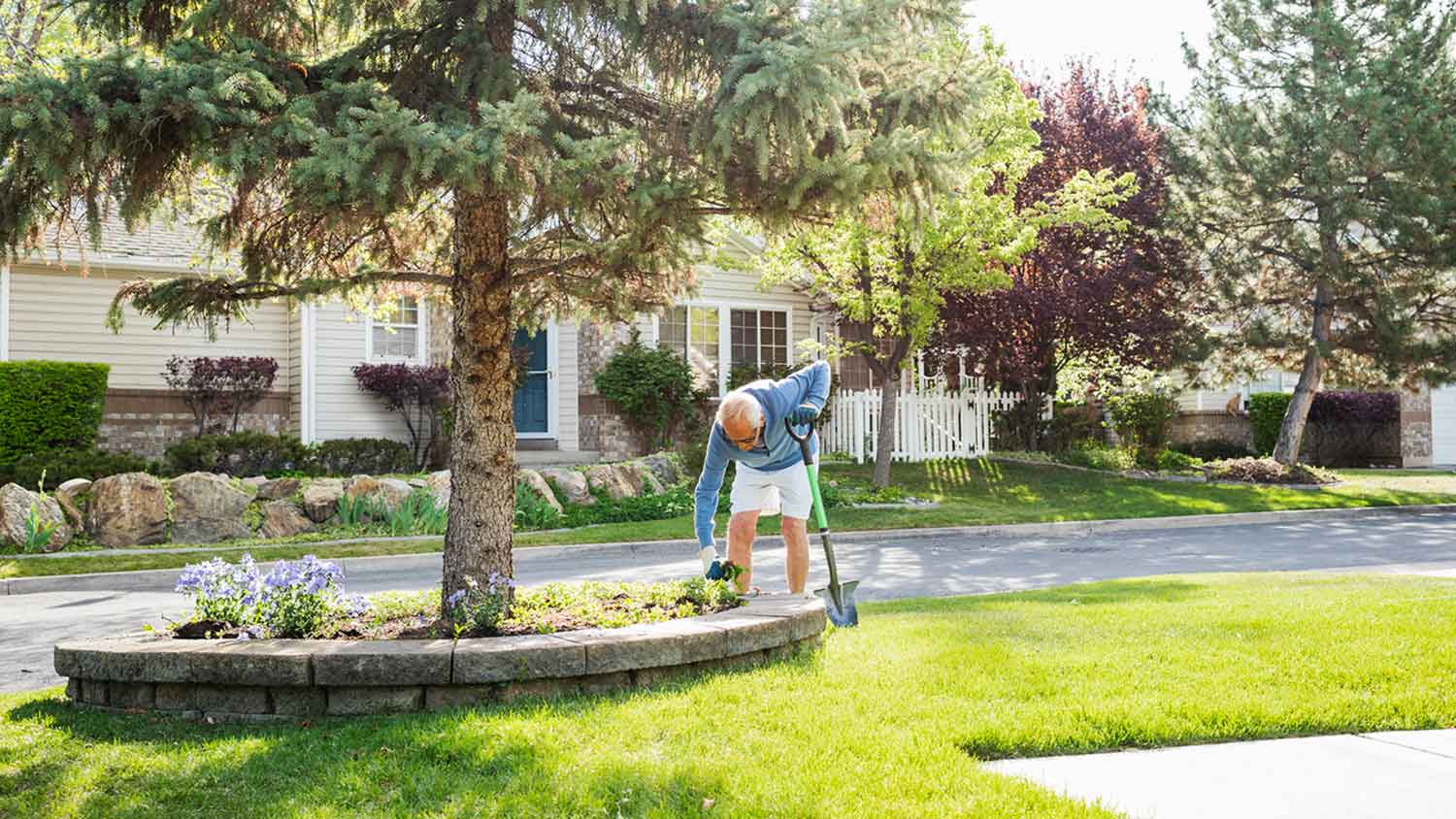 Senior man weeding flower bed