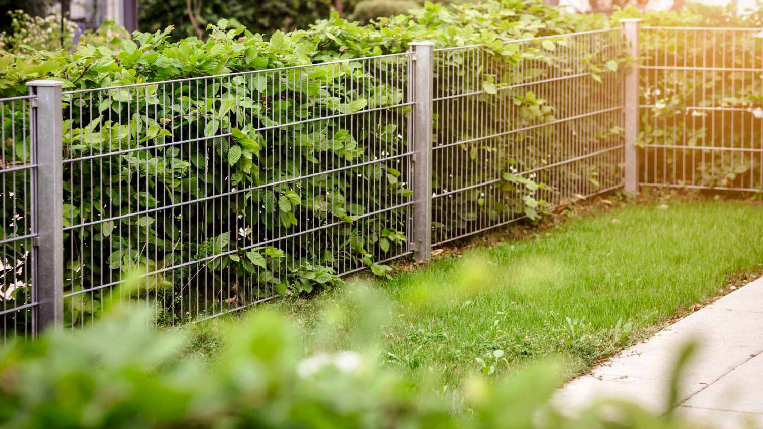 Steel mesh fence