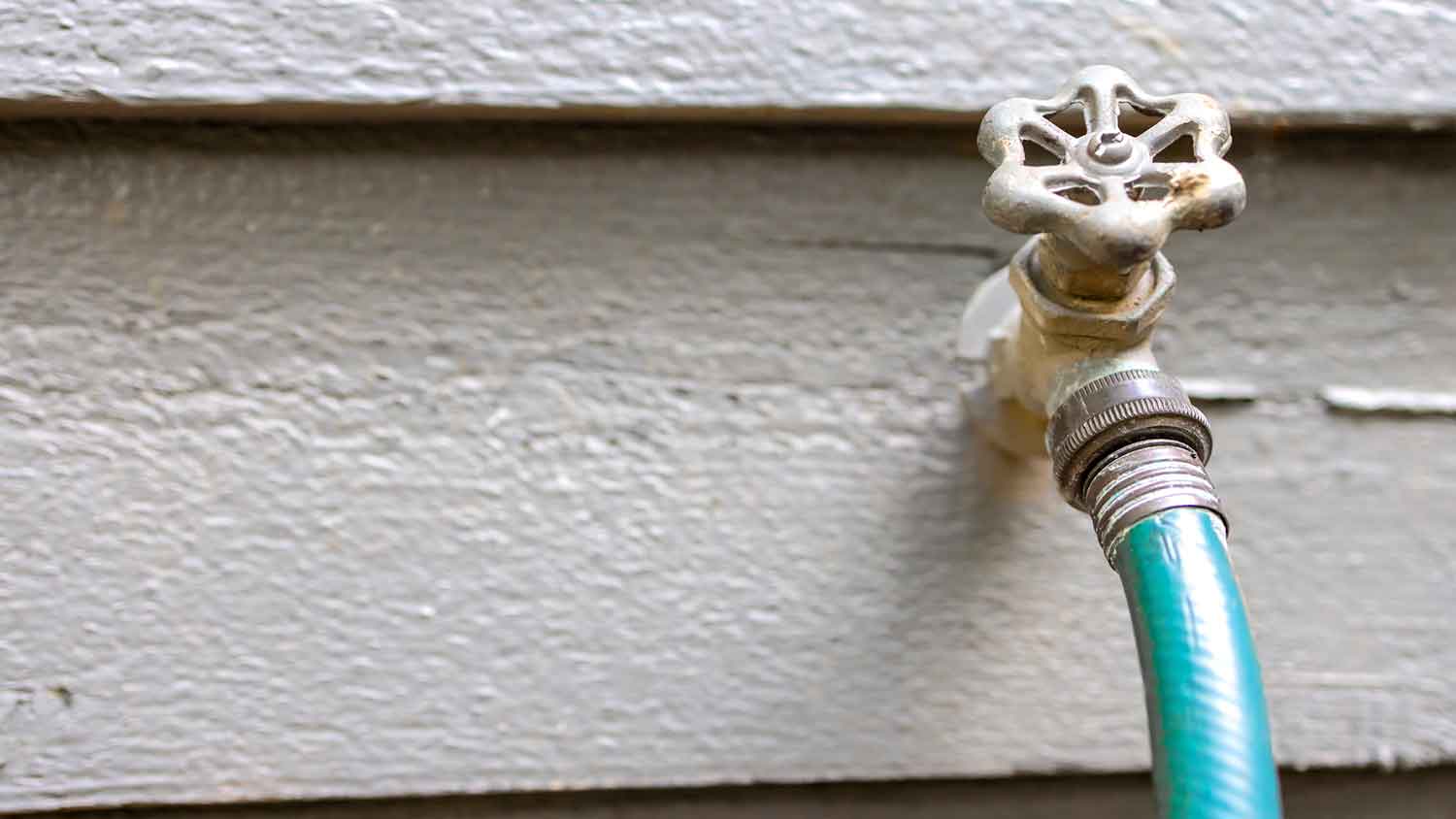 Garden hose connected to the hose bibb