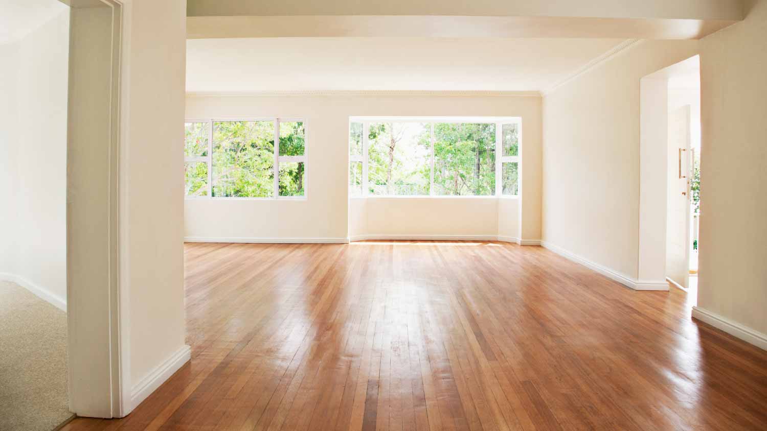 Empty living room with white walls