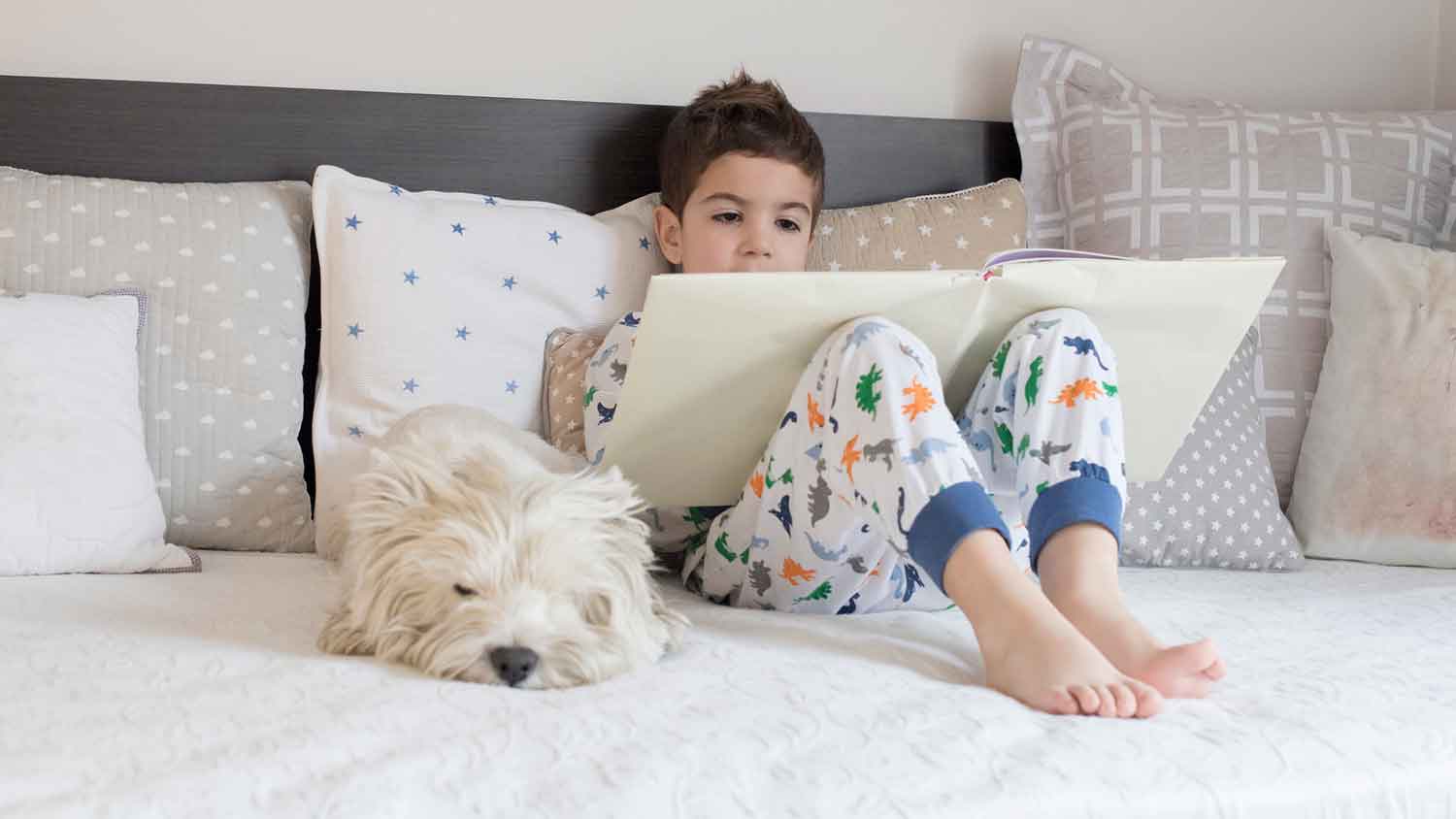 Boy with his puppy reading a book on bed