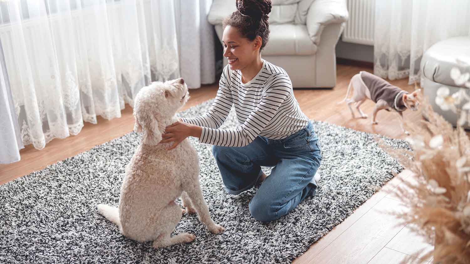 Woman playing with her dog in the living room