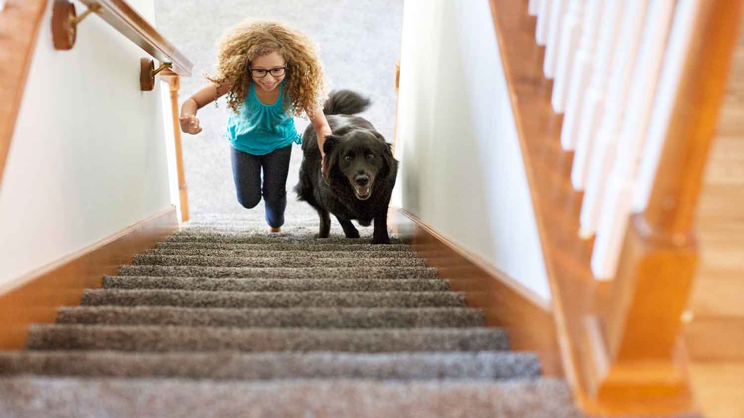 Girl and dog at home climbing stairs Photo: Cavan Images / Cavan / Getty Images