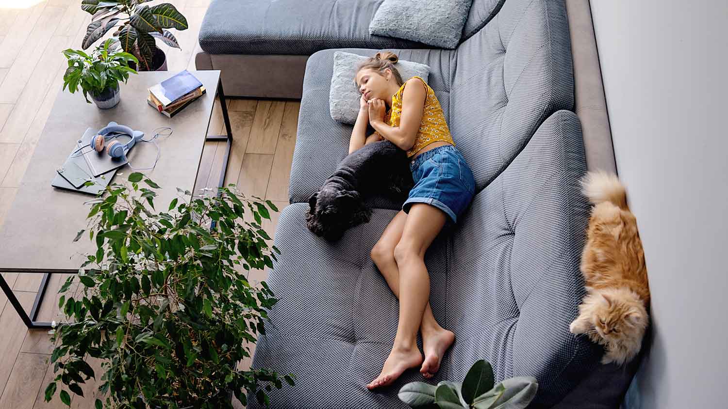 Girl sleeping on the couch with her dog and cat
