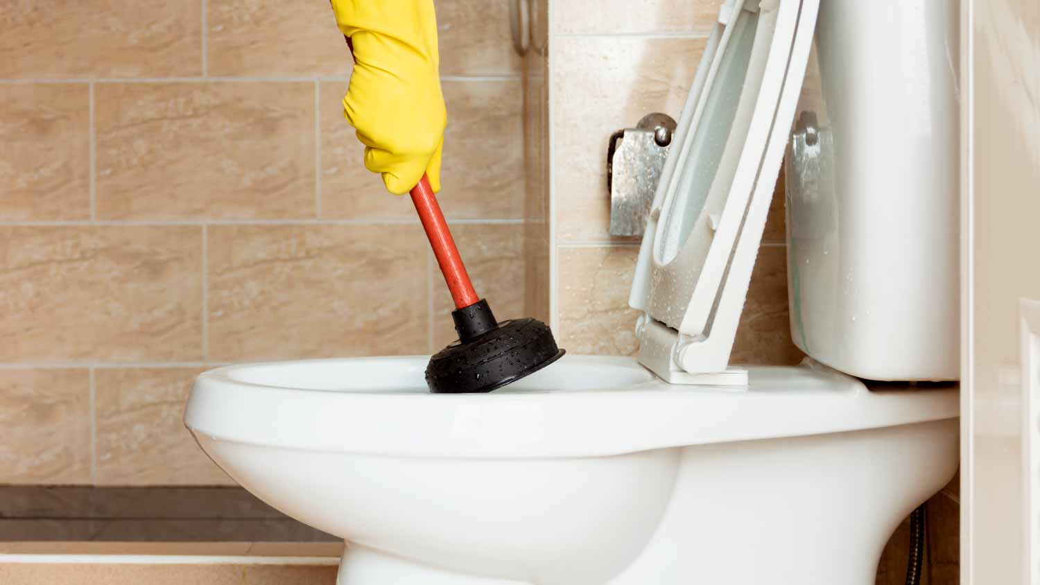 Man fixing toilet bowl