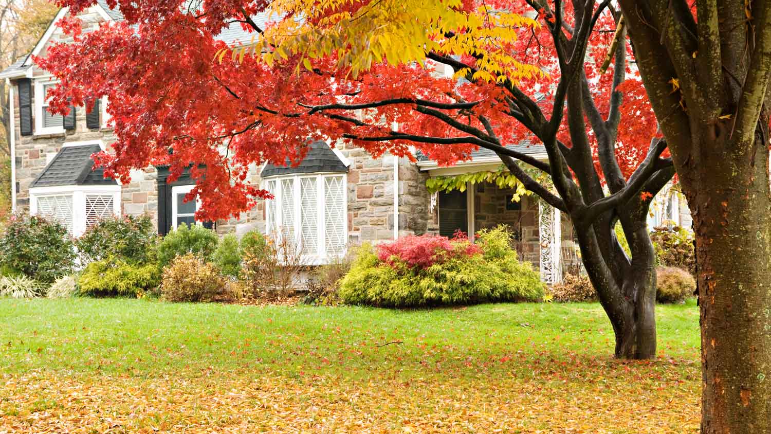 A house at fall with leaves on the yard