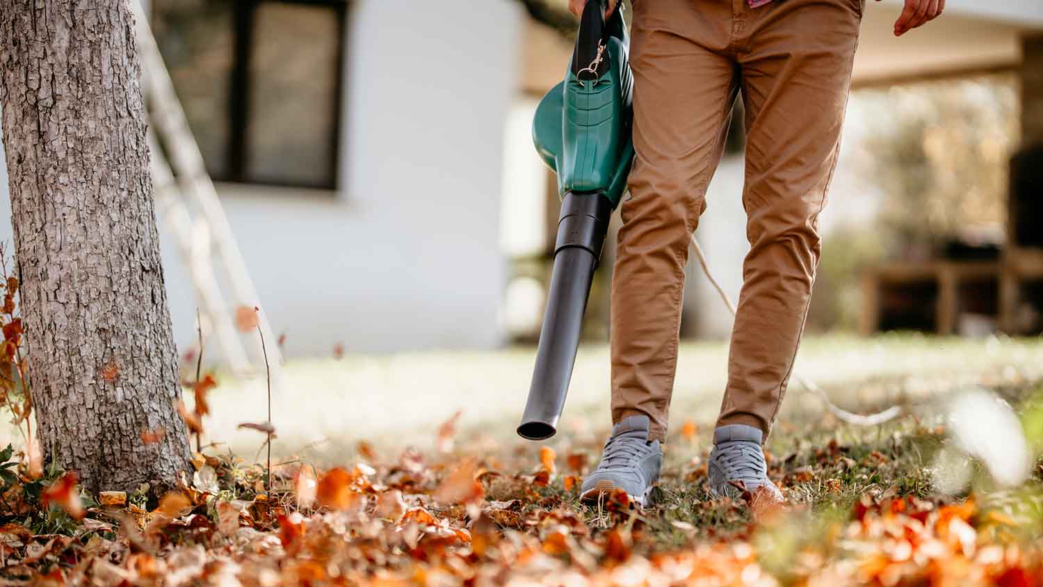 Homeowner using leaf blower in the yard