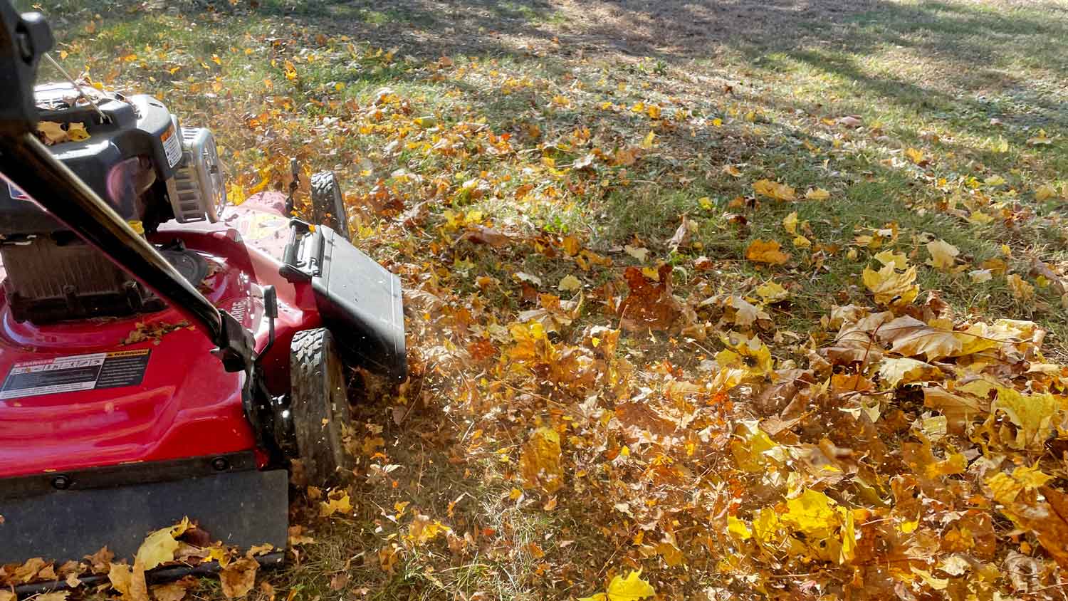 A person using a mower to mulch leaves