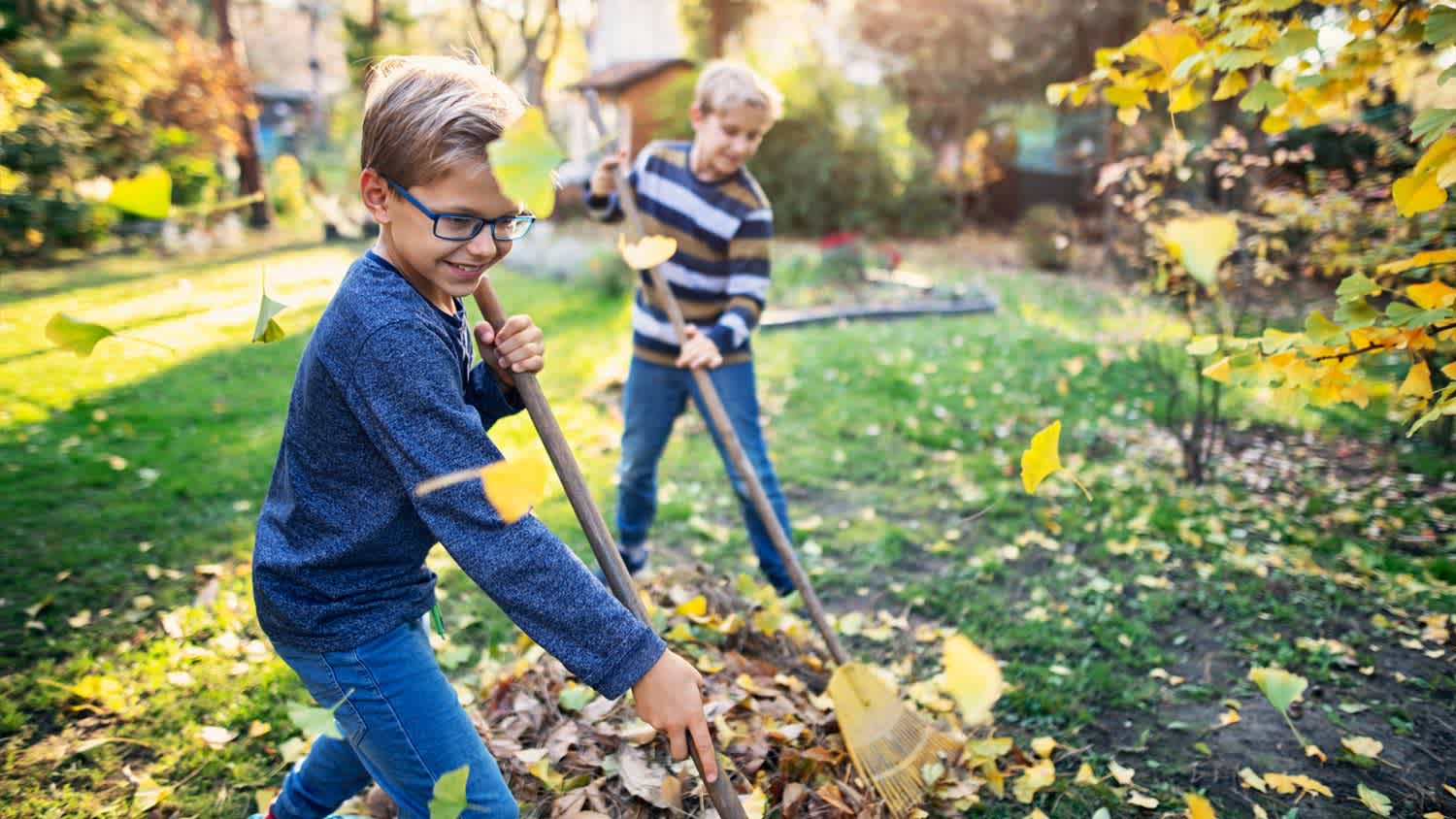 Two little boys raking leaves