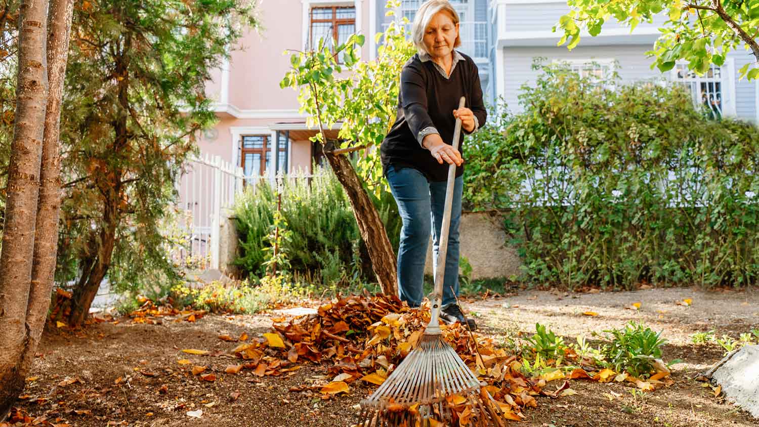 Woman raking leaves in the backyard