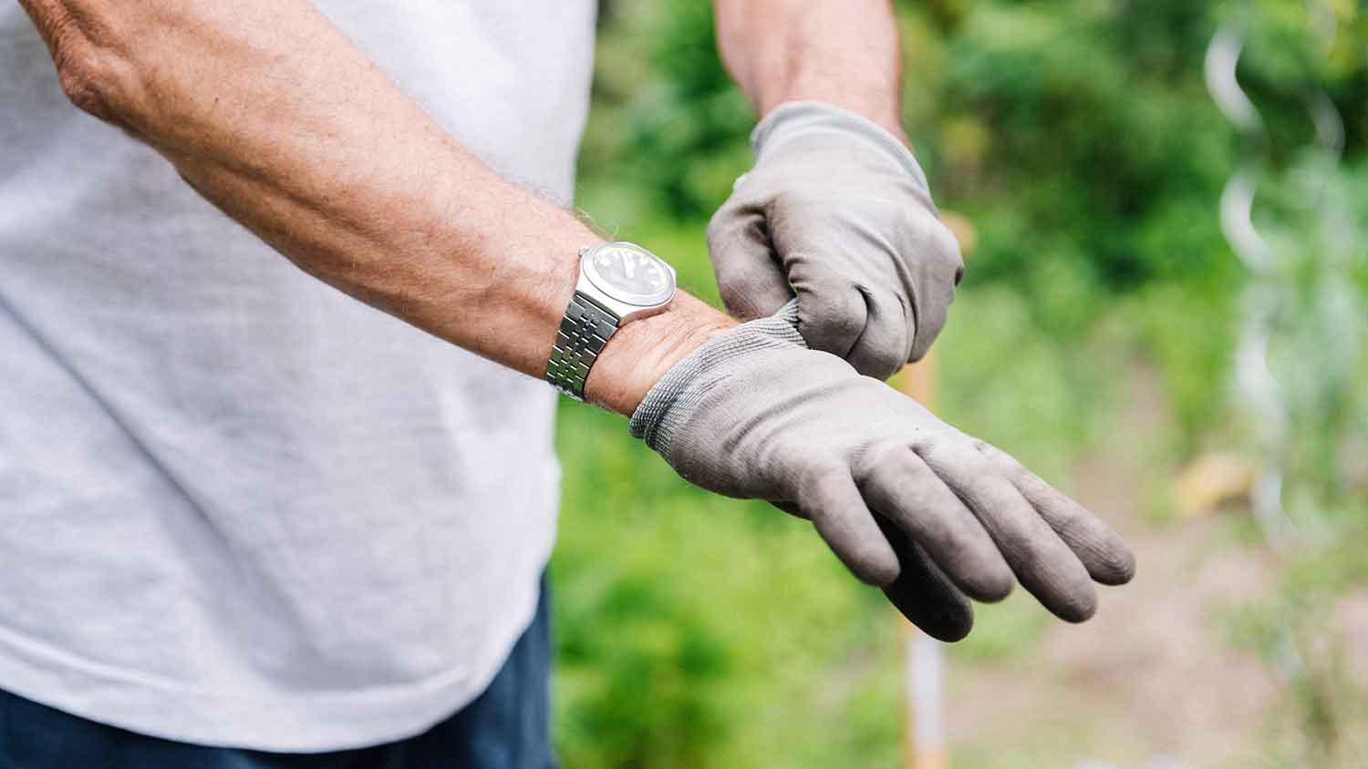 Gardener putting on garden gloves to protect his hands