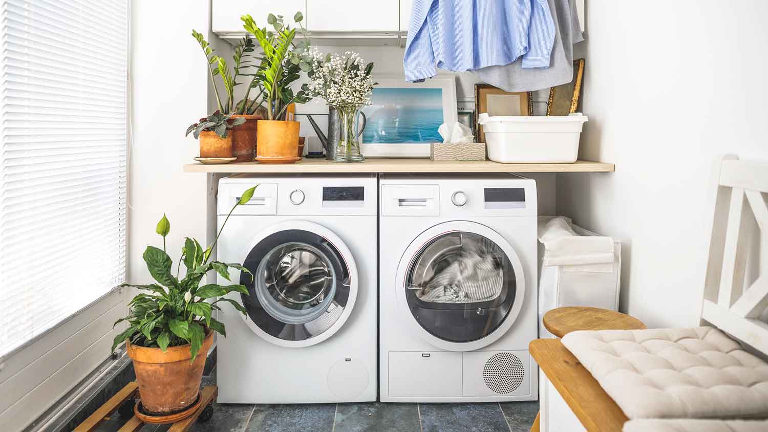 Home laundry room with potted plants and a bench