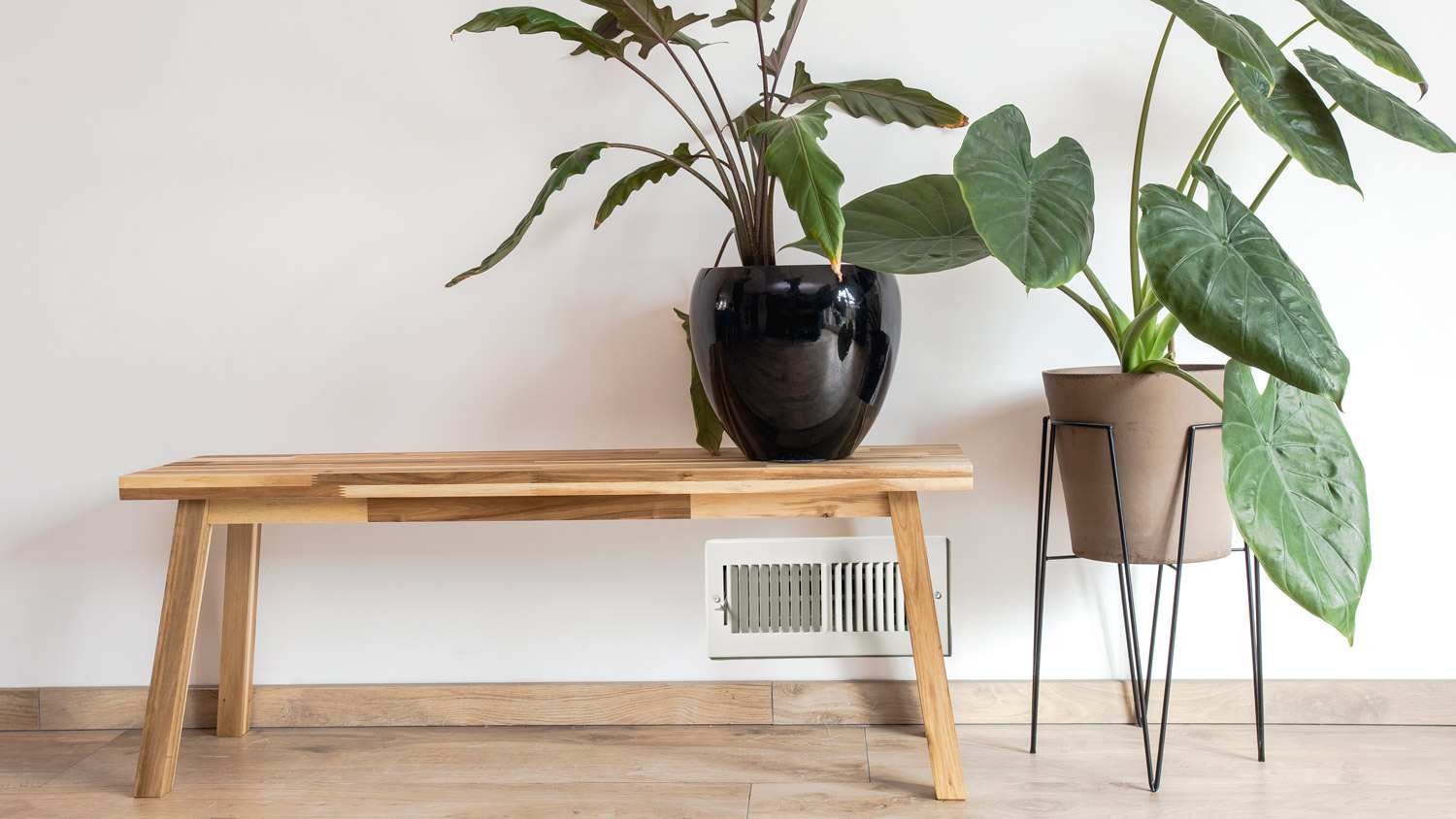 Modern hallway with plants