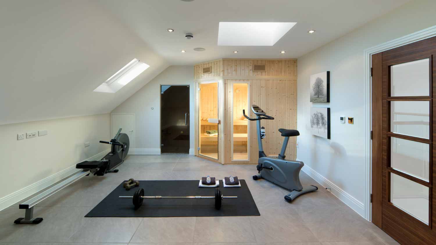 Attic modern gym