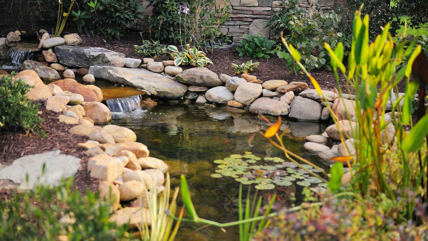 A beautiful landscaped yard with a koi pond