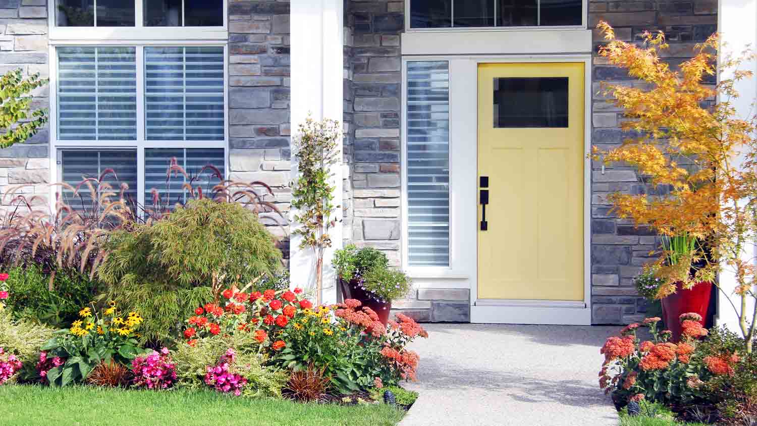 front door surrounded by flowers and plants