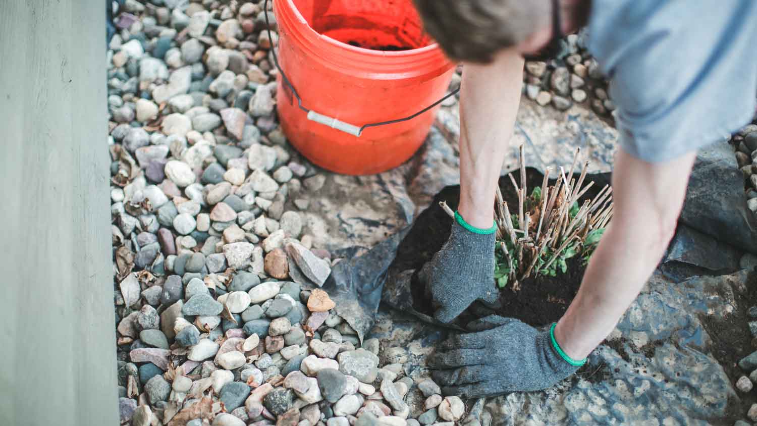 A man removing pebbles