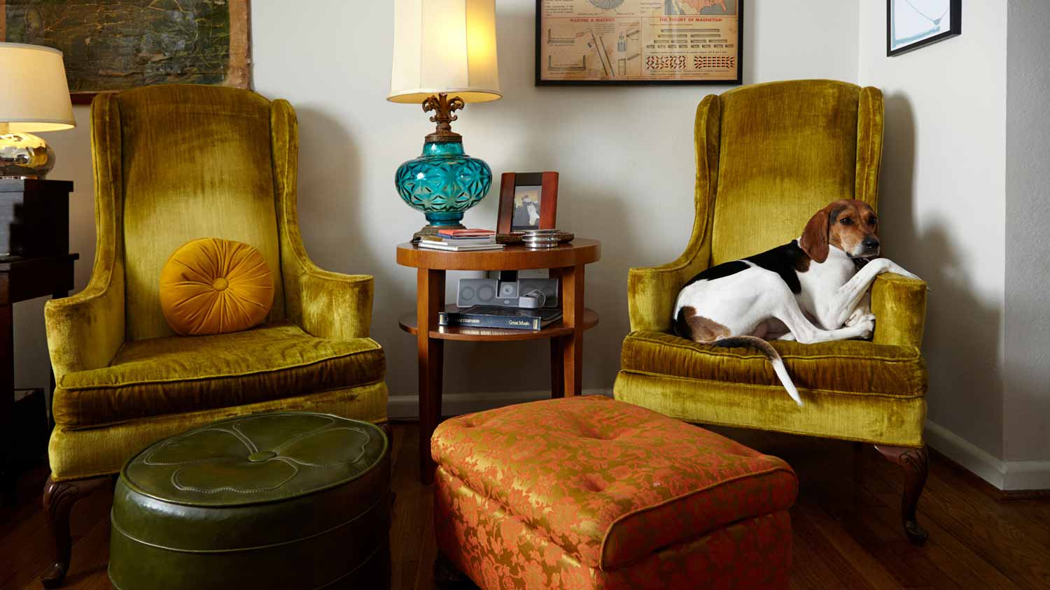 A dog relaxing in an upholstered chair
