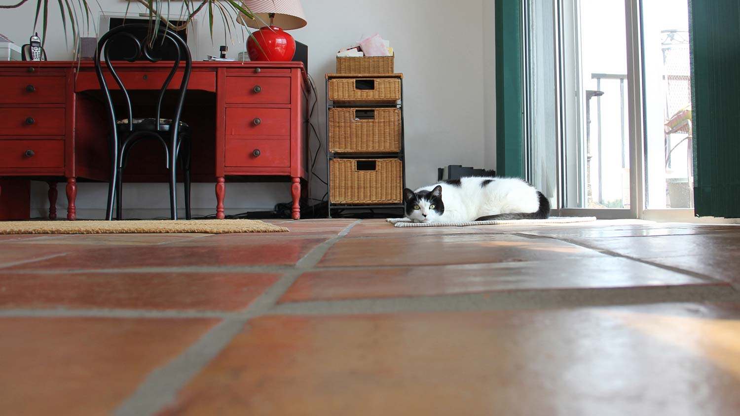 A low angle view of a tiled floor with a cat relaxing