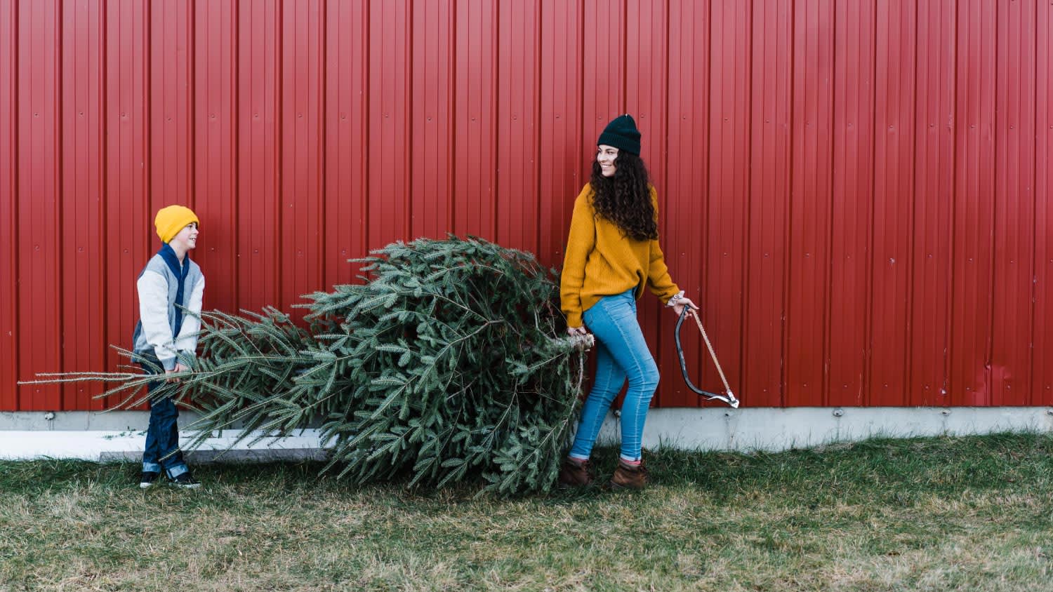 Mother and son carrying a Christmas tree