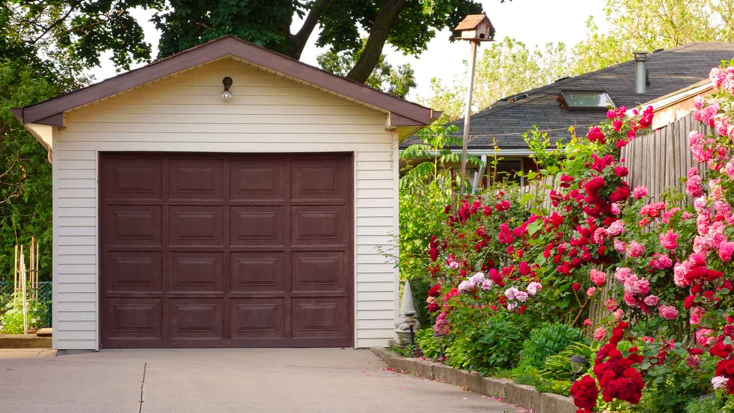 A detached garage next to shrubs of roses