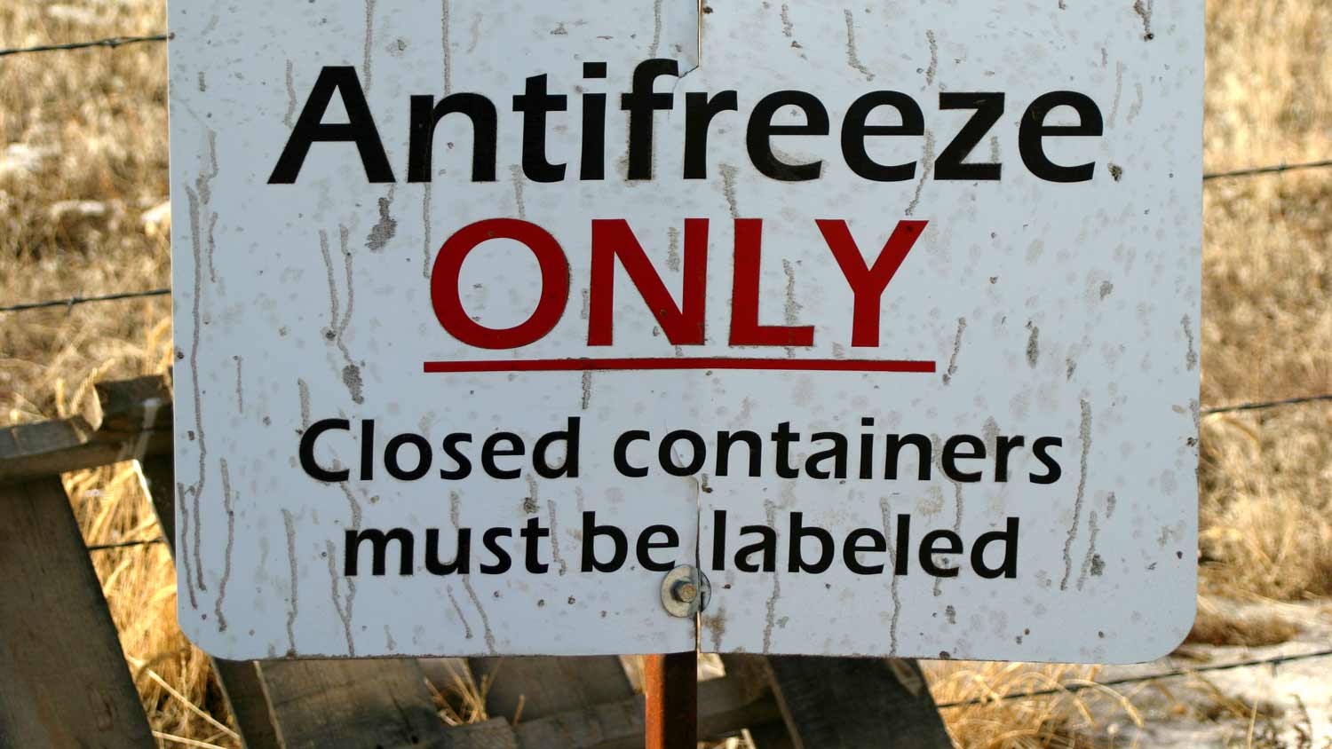 antifreeze disposal location