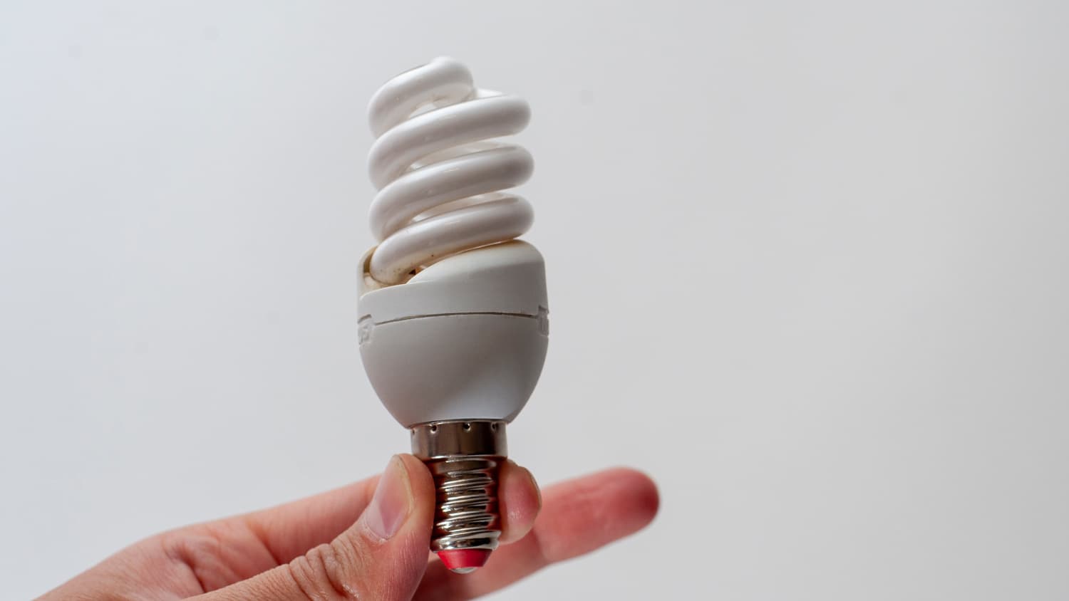 Hand holding compact fluorescent light bulb